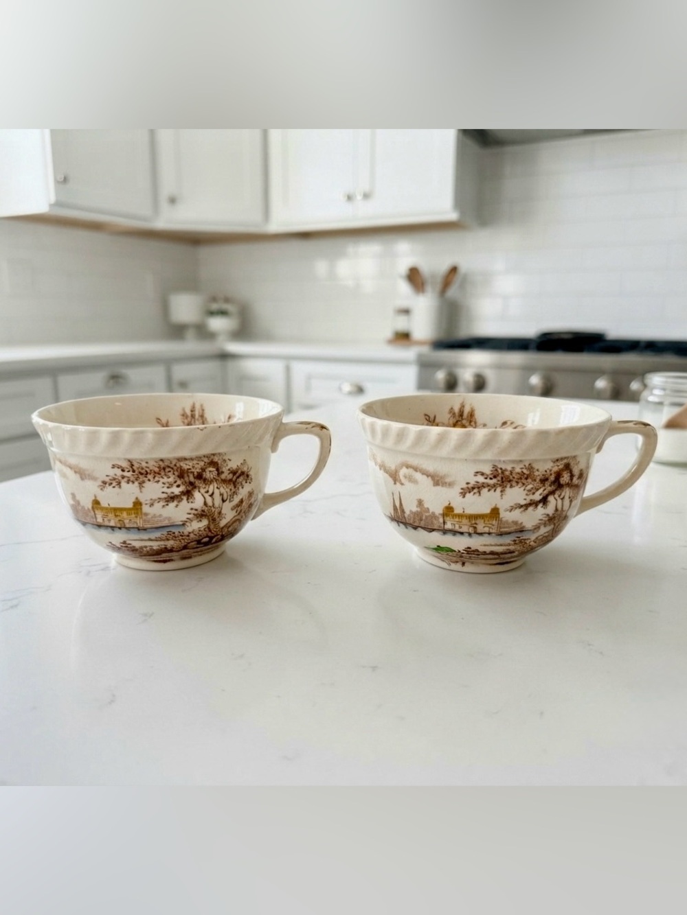 Vintage Johnson Brothers "Castle On The Lake" Teacup Pair – Rare Pattern Mashup!